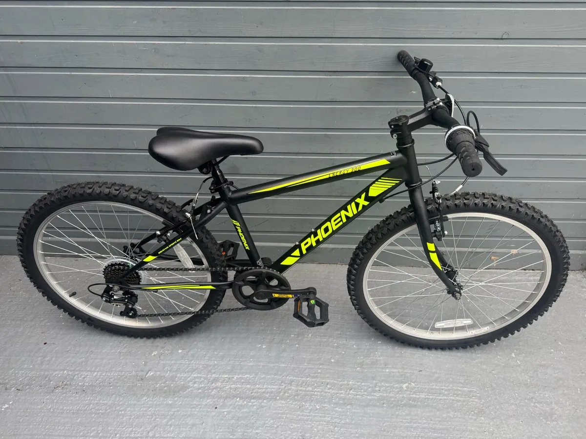 Free Delivery - Ignite Phoenix 24 Inch Bike - Image 1