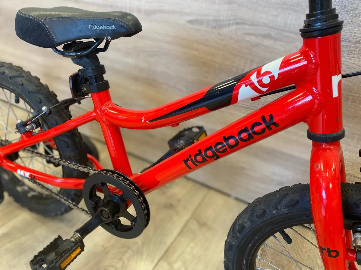 Ridgeback 16 - Image 4