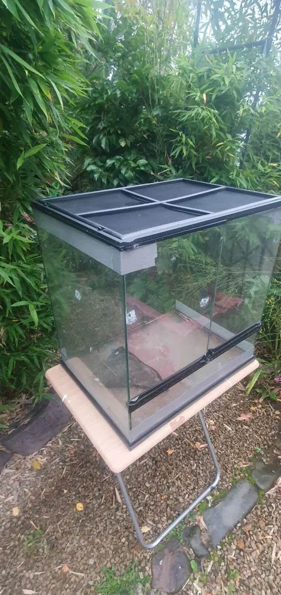 Reptile tank - Image 1