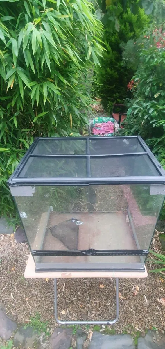 Reptile tank - Image 2