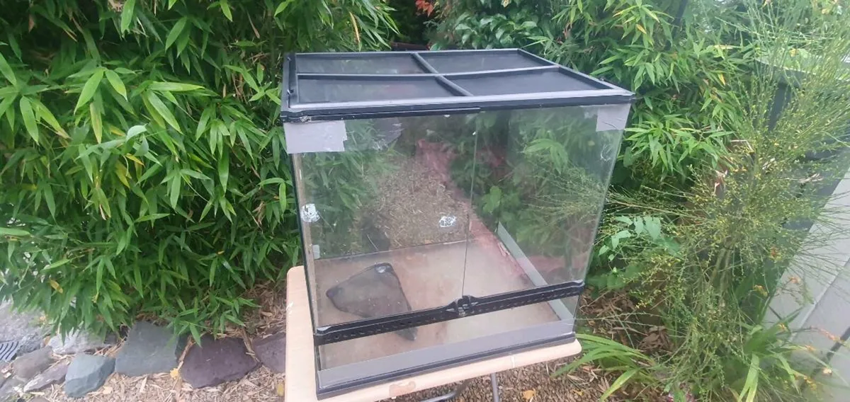 Reptile tank - Image 3