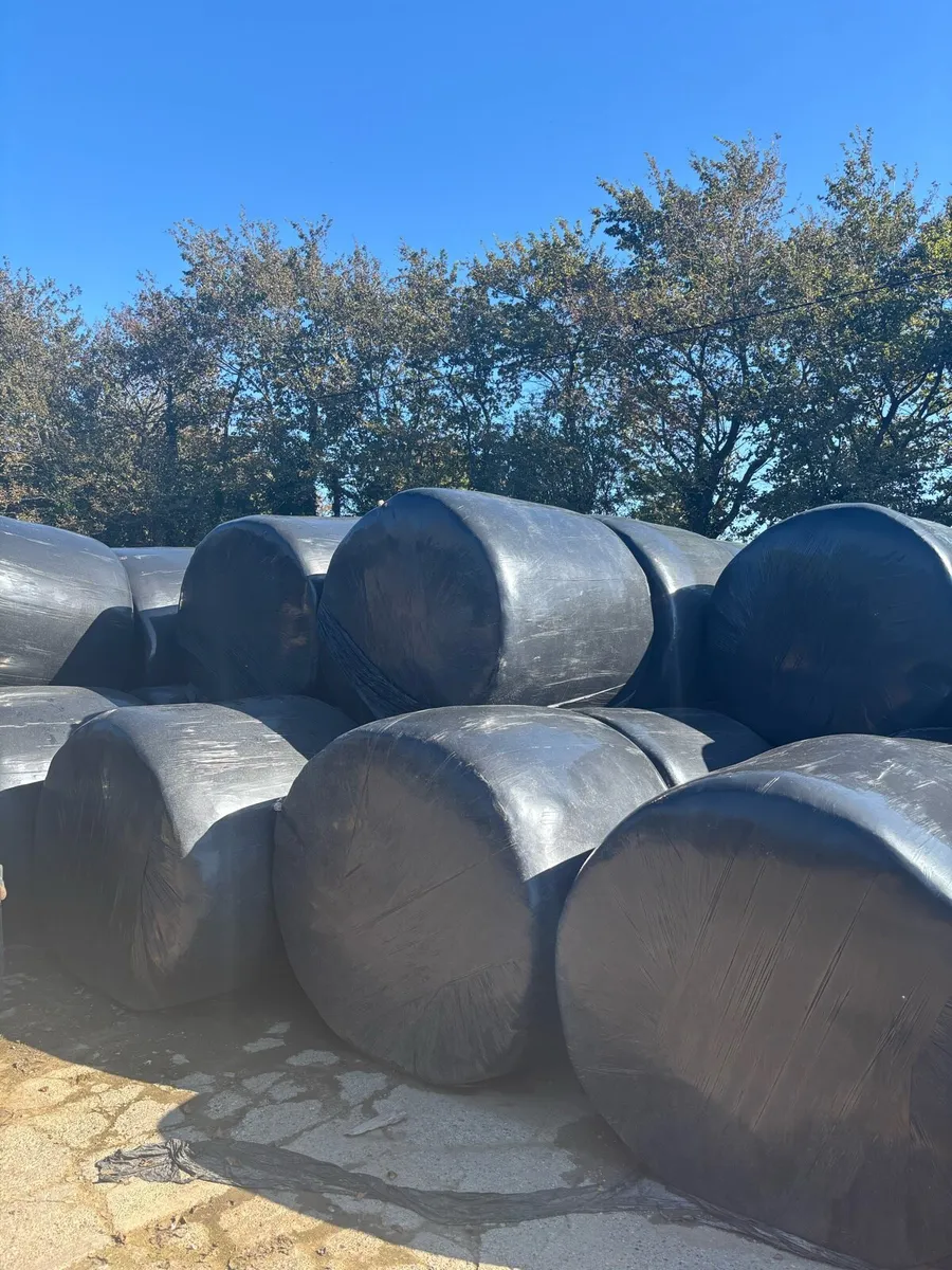 Silage bales