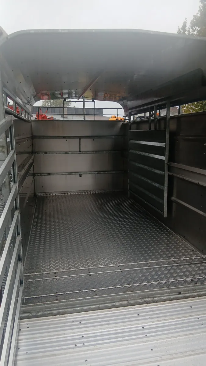 New 12Ft Tuff Mac cattle trailer - Image 4