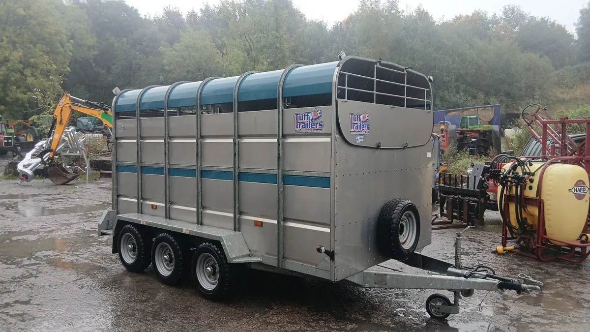 New 12Ft Tuff Mac cattle trailer - Image 2