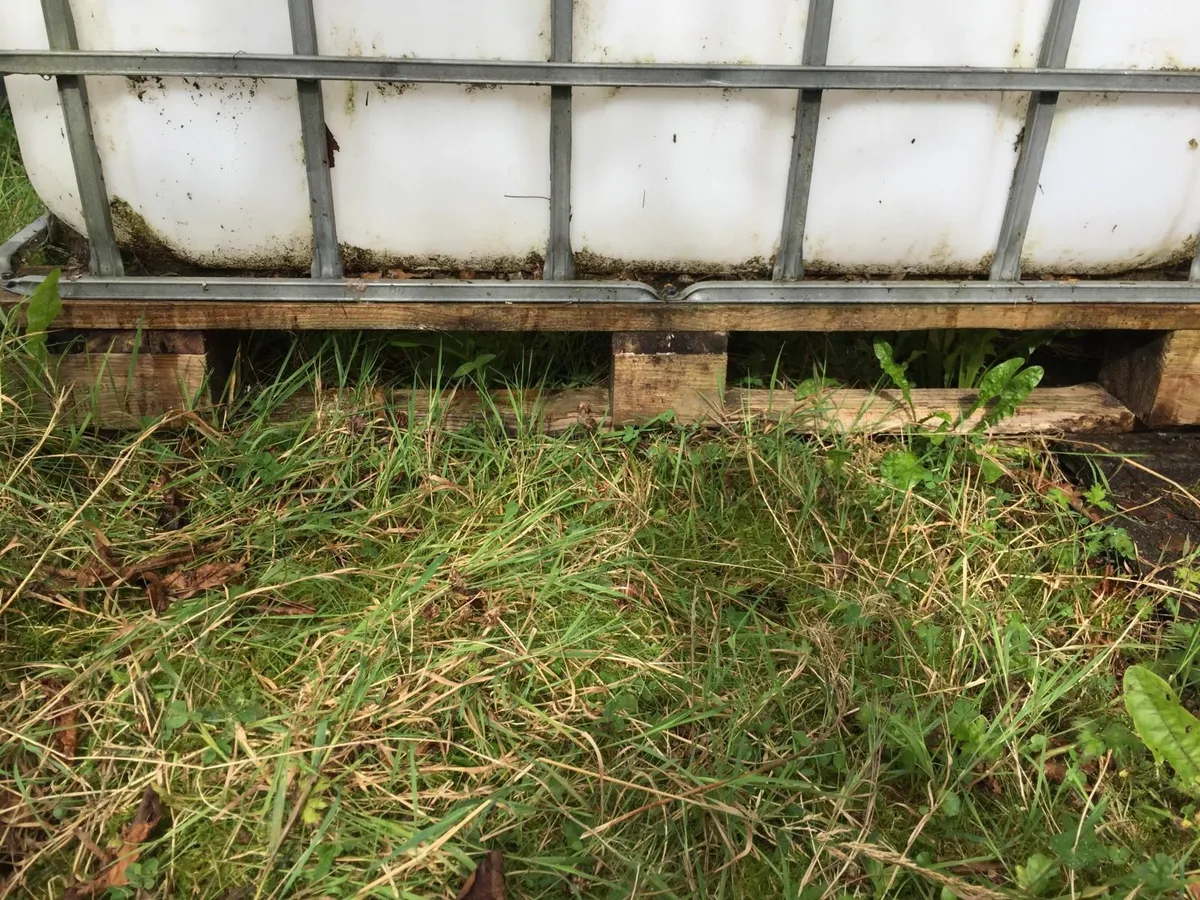 IBC 1000-litre tank - Image 4