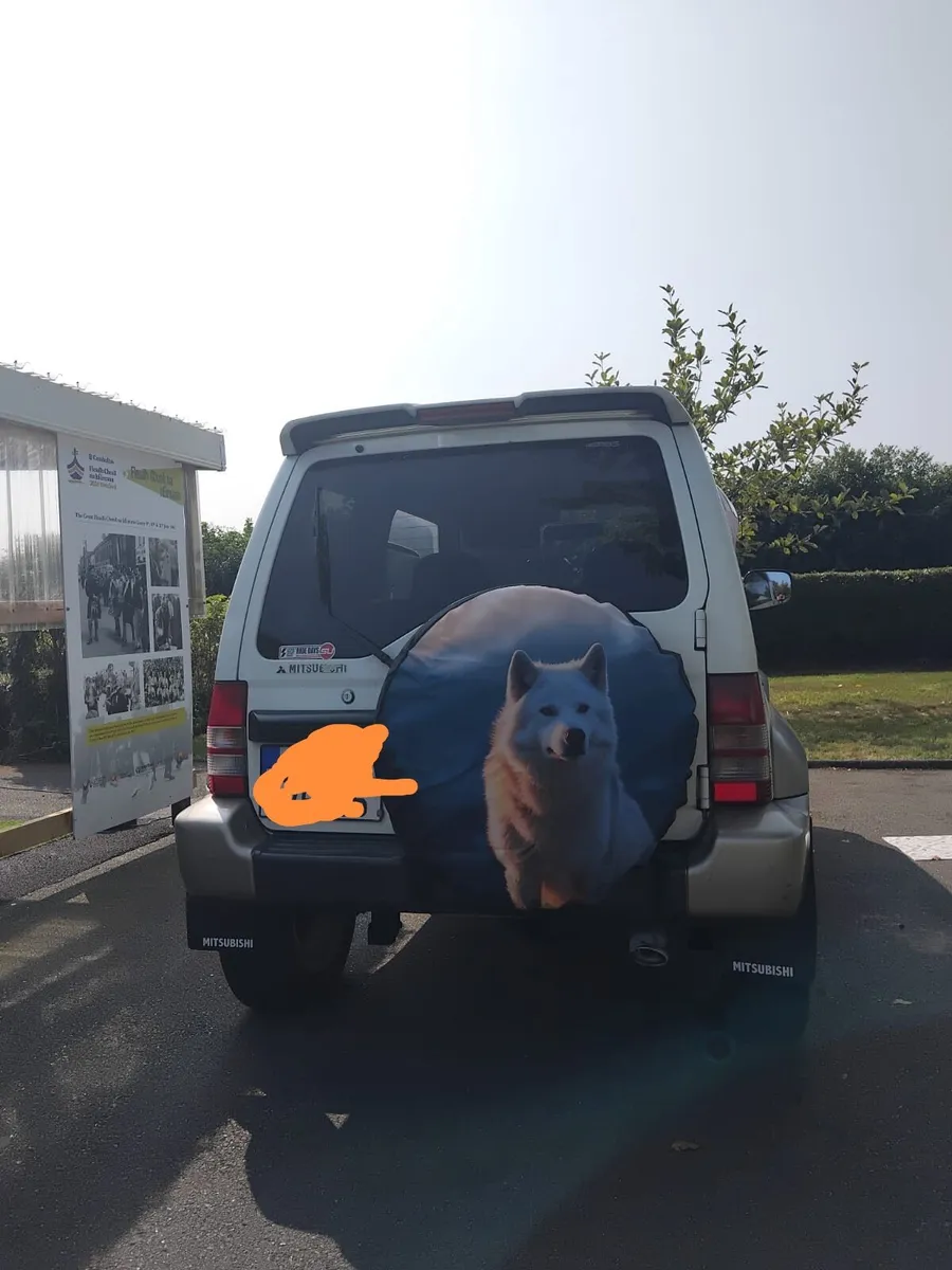 Mitsubishi pajero Junior - Image 4