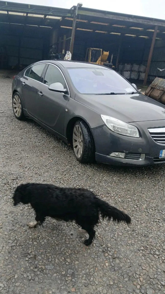 Opel insignia 2012 - Image 4