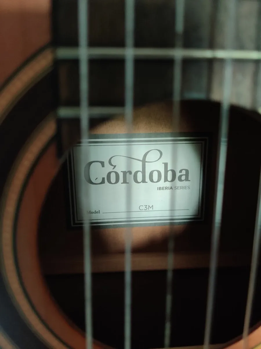 Nylon string guitar & hardcase - Image 4