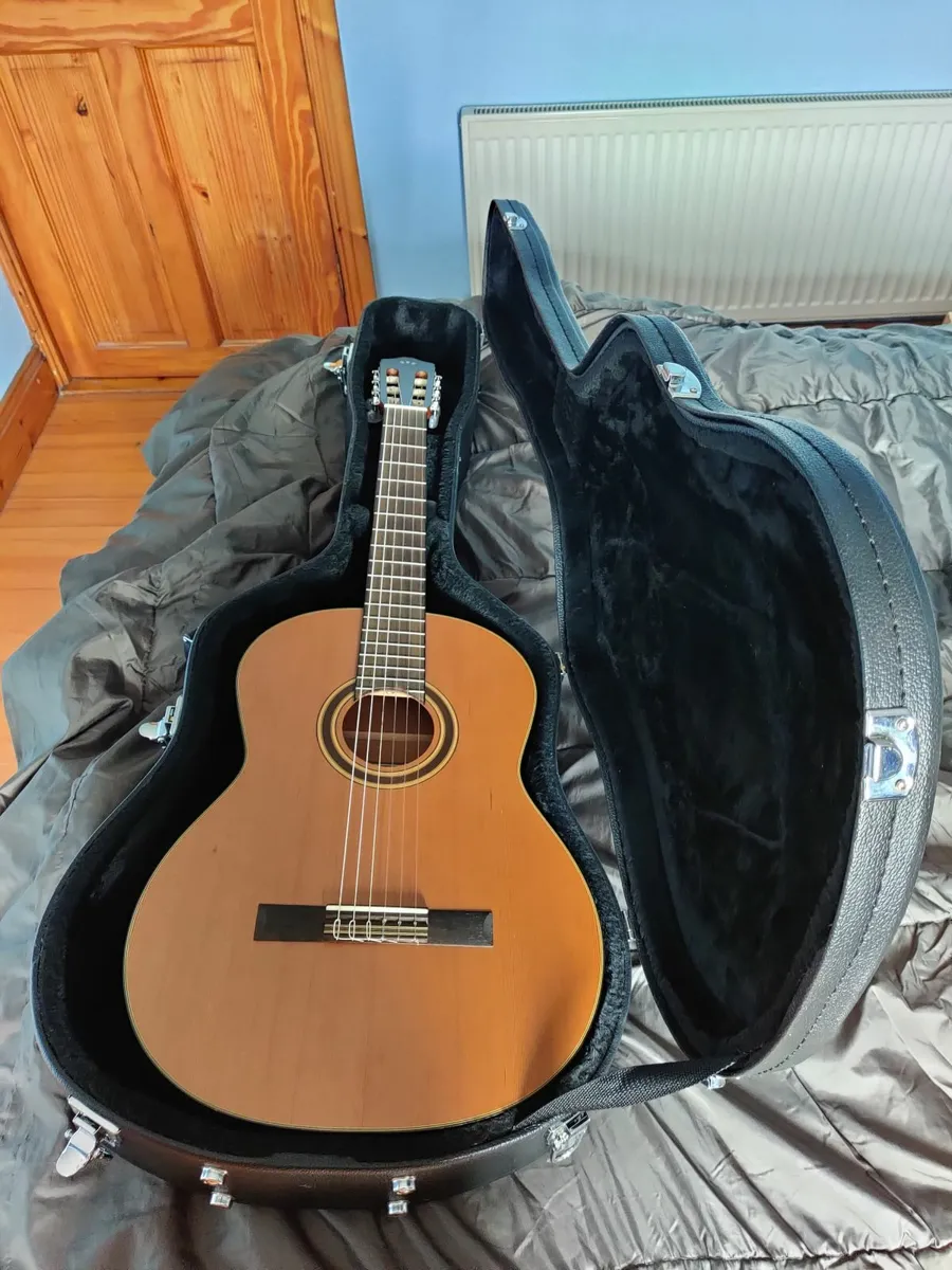 Nylon string guitar & hardcase - Image 1