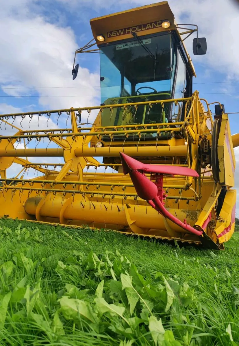 1984 New Holland Clayson 8040 combine harvester - Image 1
