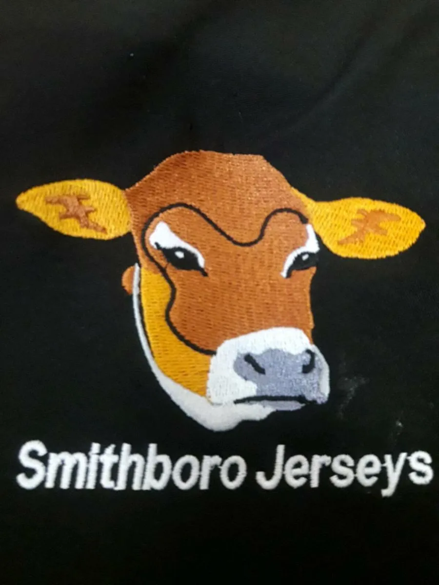 11 Top Quality In Calf Jersey Heifers - Image 1