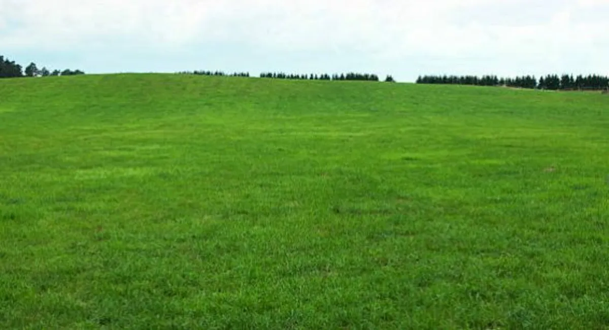 Wanted Land to Rent