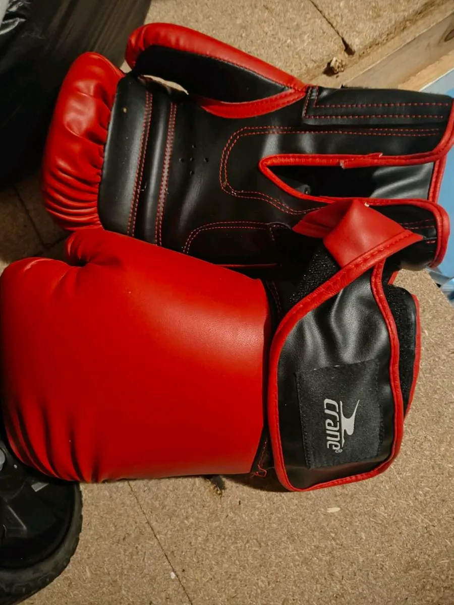 Punch bag and pair of boxing gloves - Image 2