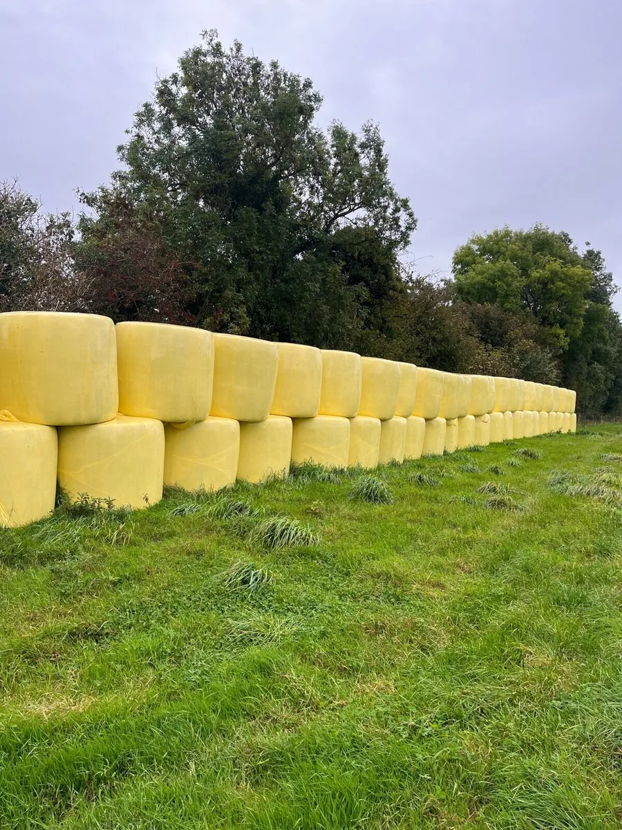 Silage and hay bales - Image 4