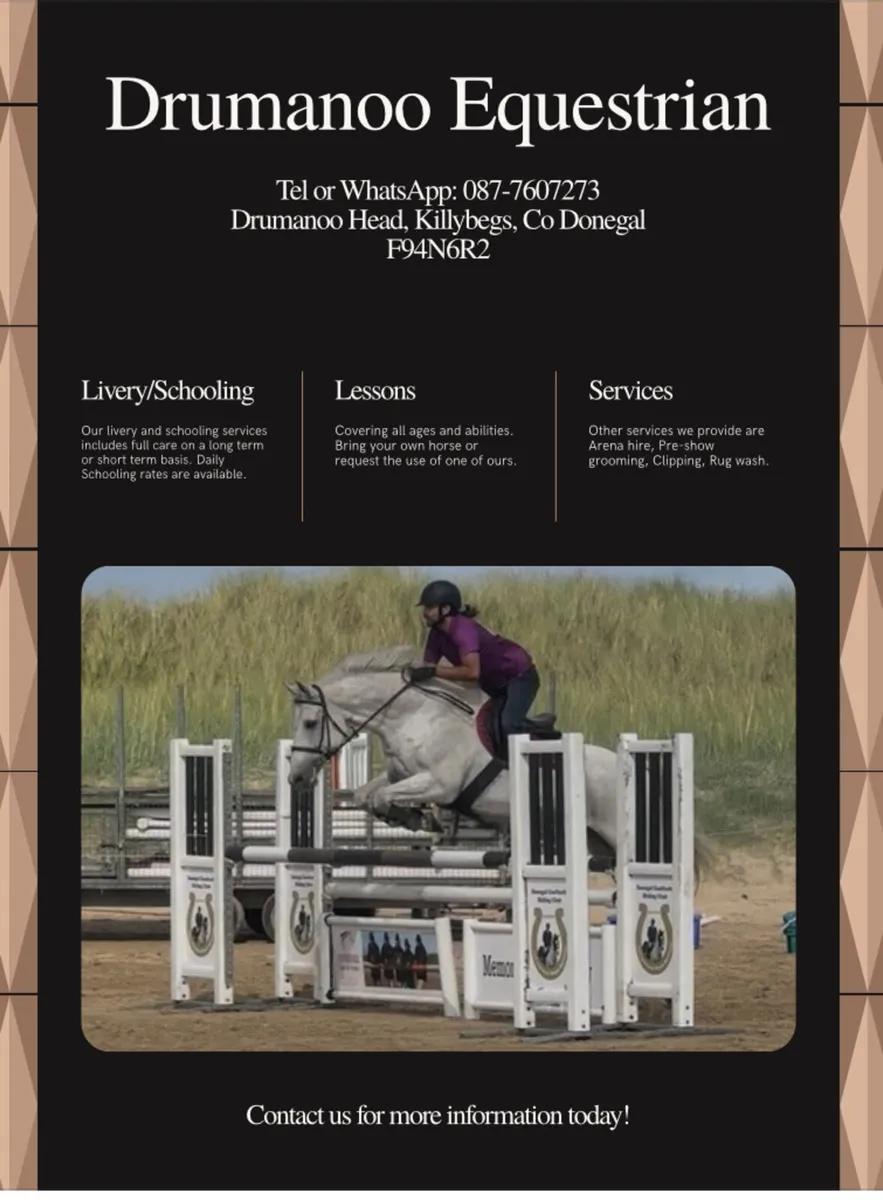 Drumanoo Equestrian and Equine Services - Image 1
