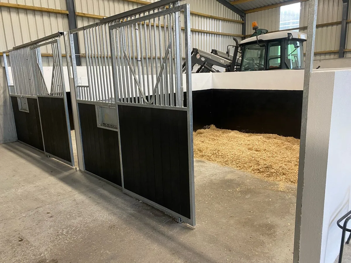 Drumanoo Equestrian and Equine Services - Image 3