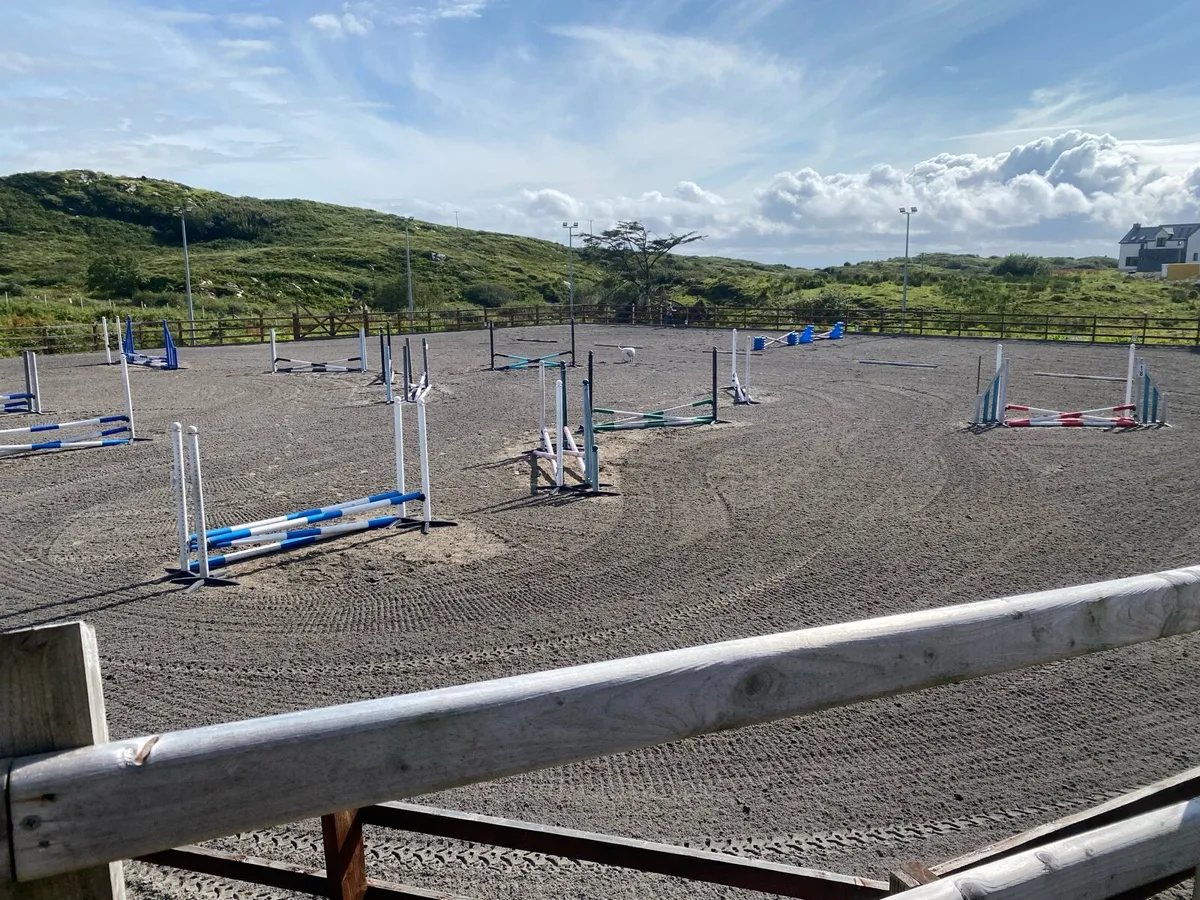 Drumanoo Equestrian and Equine Services - Image 4