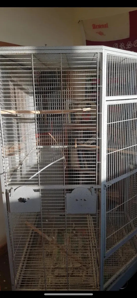 Parrot cage - Image 2