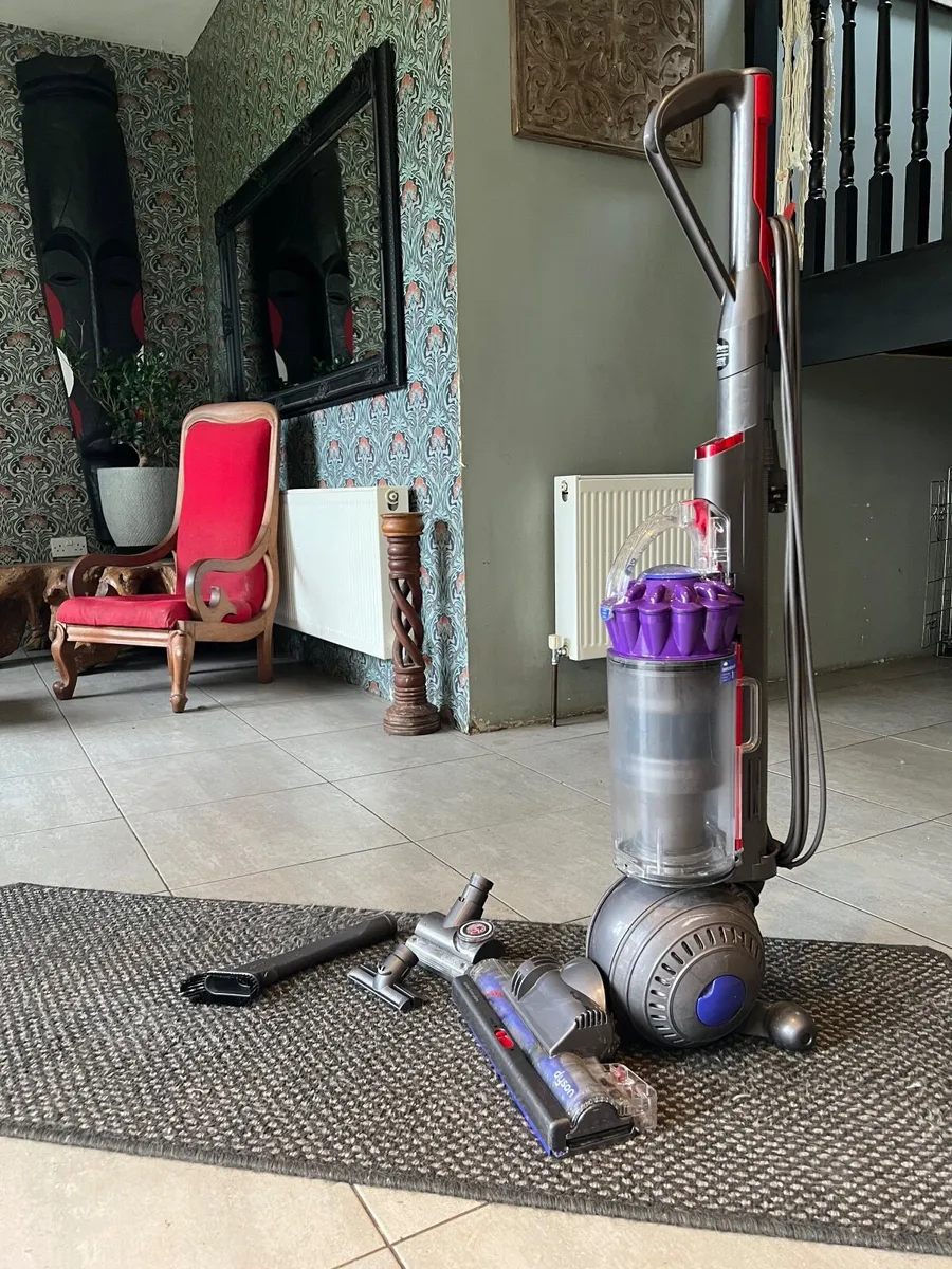 Dyson ball, animal, upright. Vacuum cleaner - Image 1
