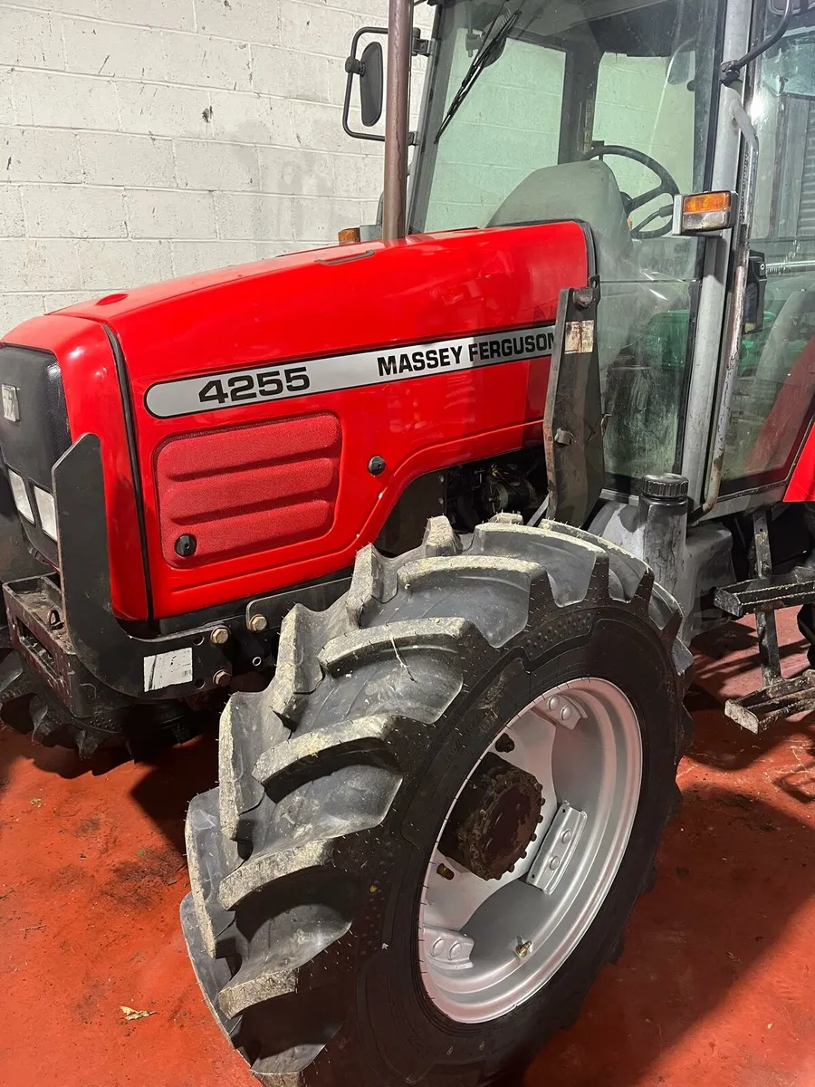 Massey ferguson 4255 - Image 4