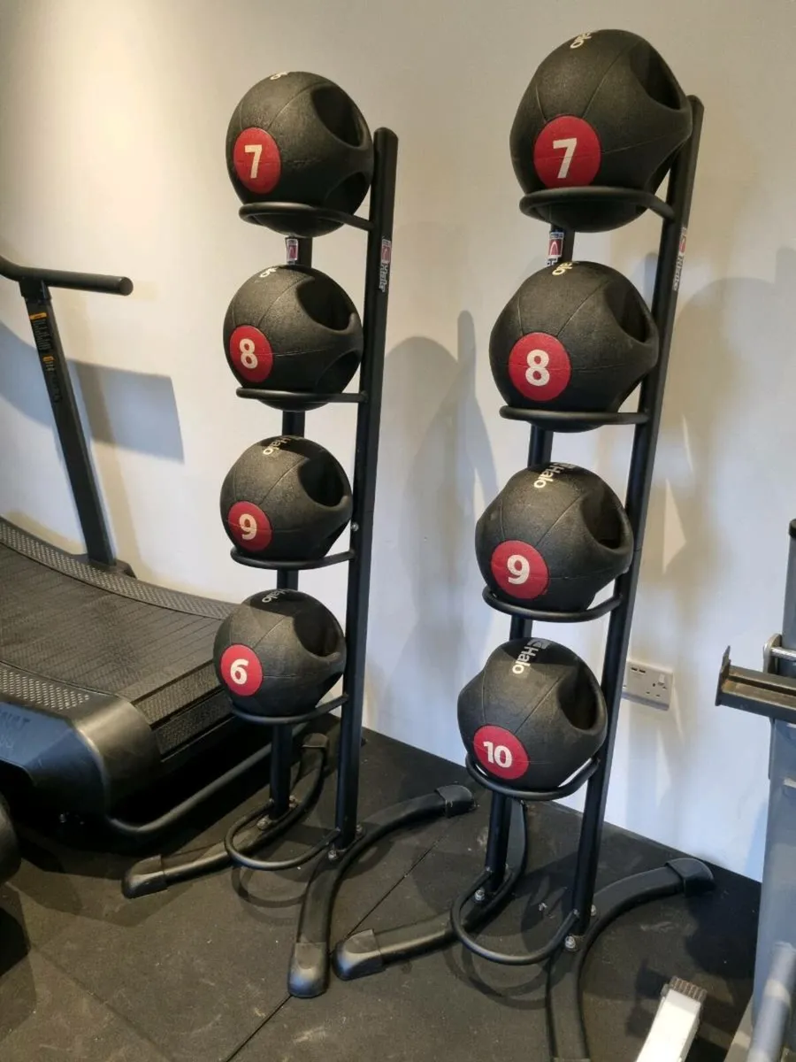 Gym equipment- Medicine balls - Image 1