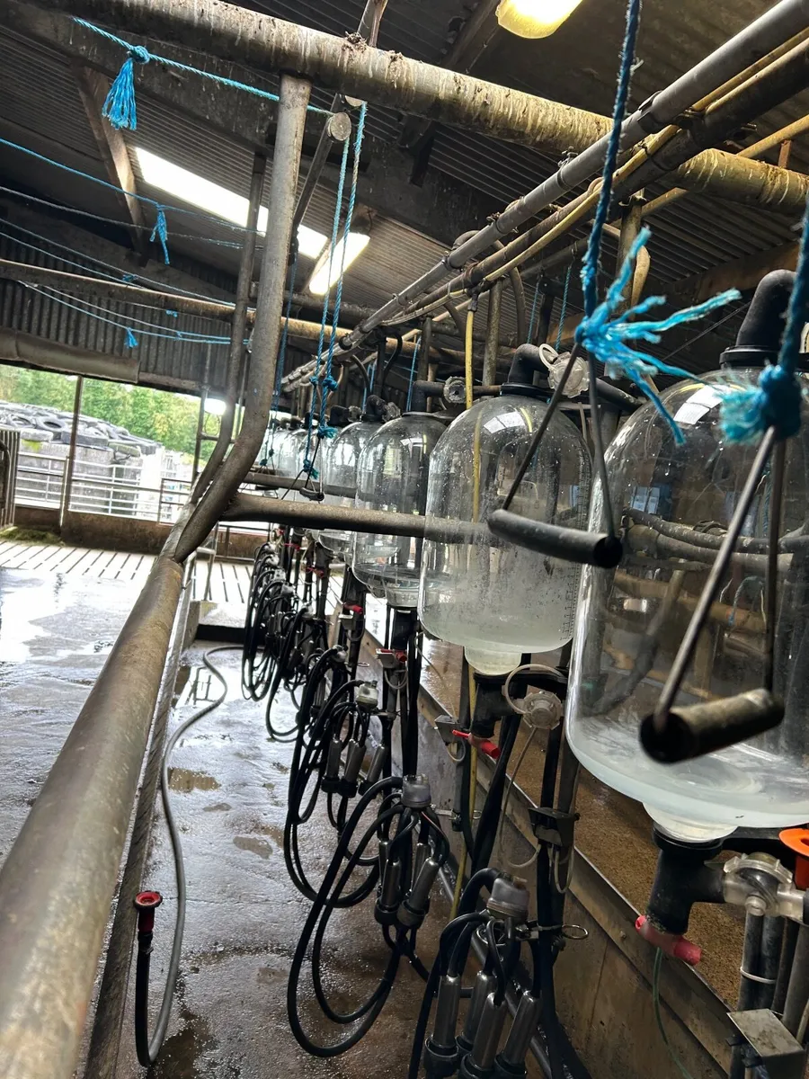 Milking parlour - Image 1