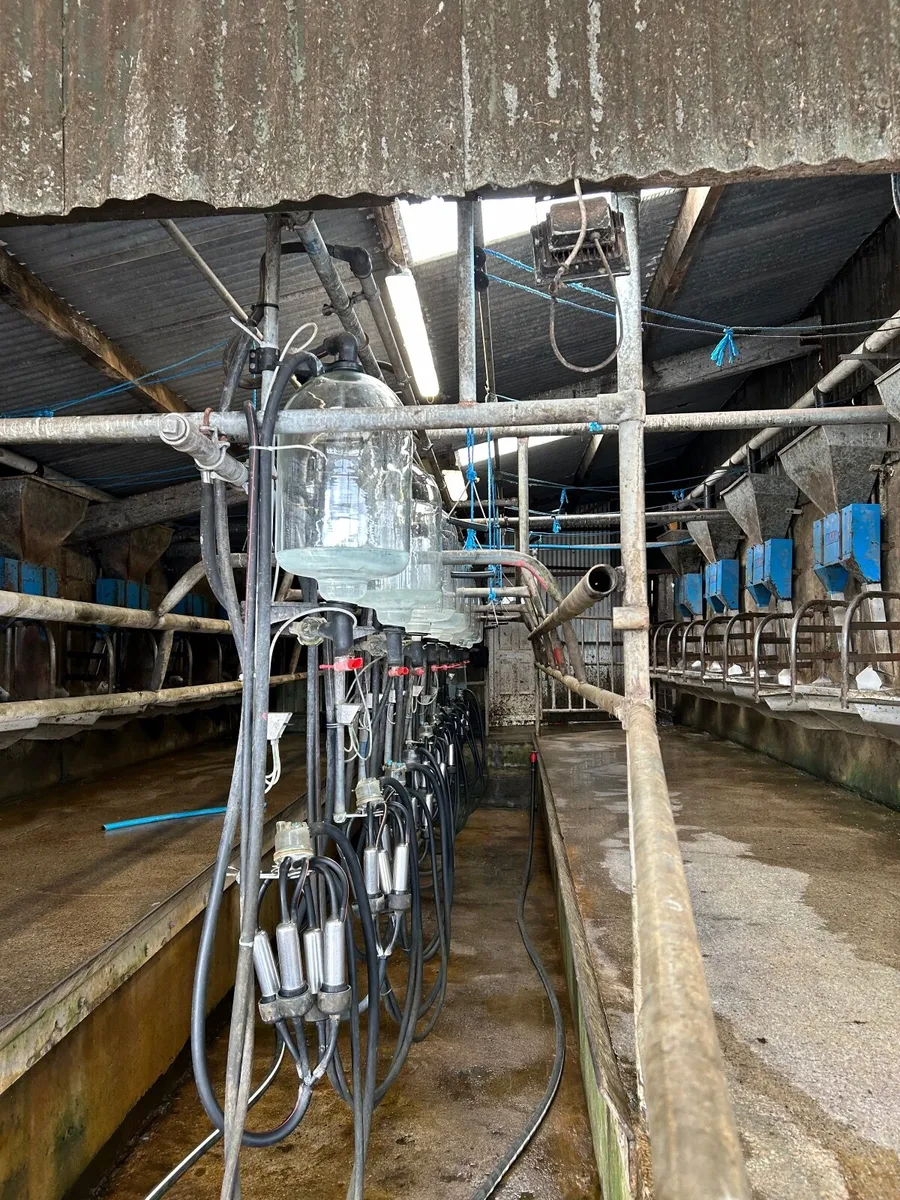 Milking parlour - Image 2