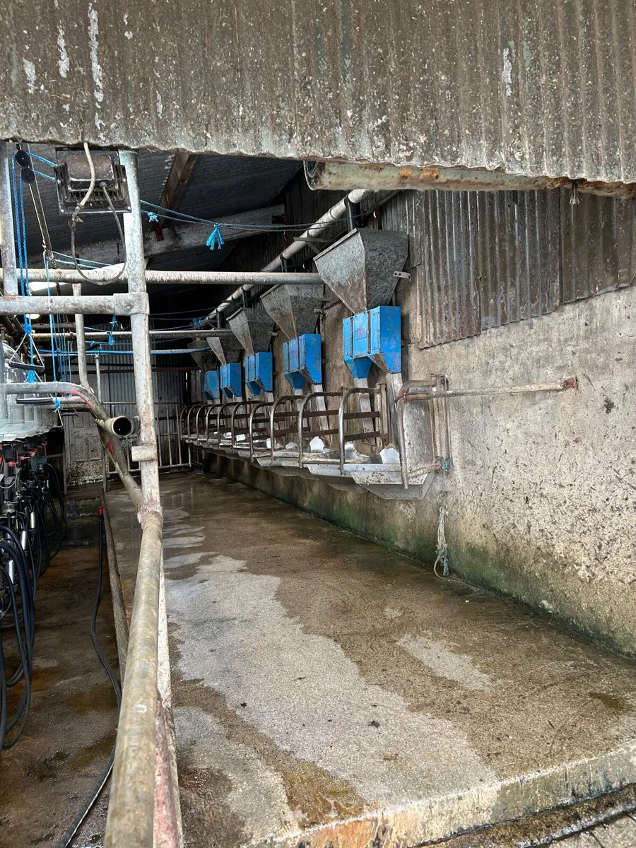 Milking parlour - Image 4