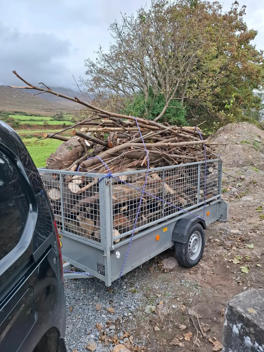 Hardwood firewood - Image 1