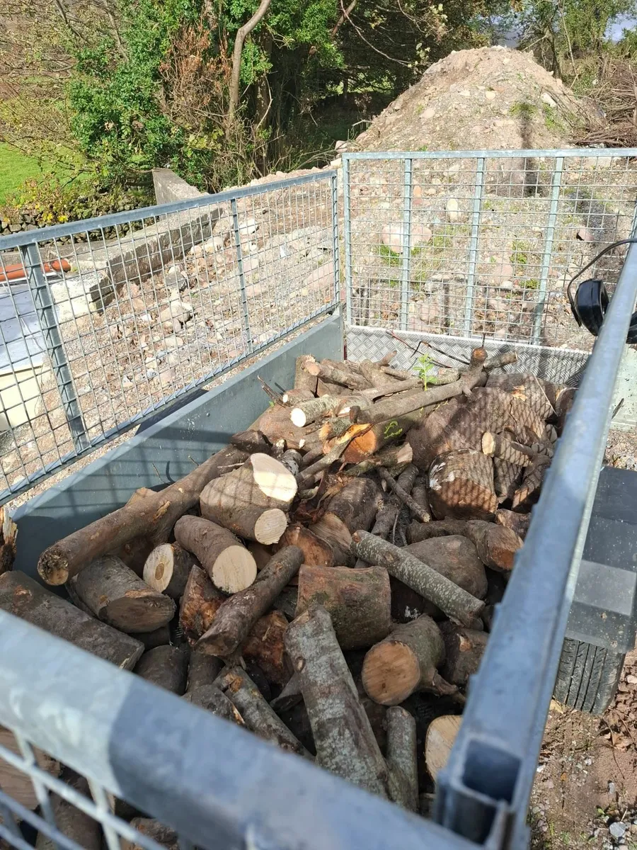 Hardwood firewood - Image 2