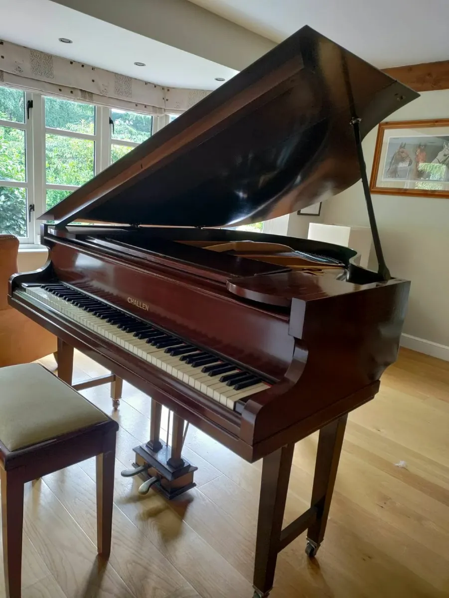 Beautiful Challen baby grande piano - Image 1