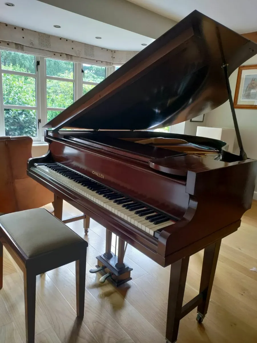 Beautiful Challen baby grande piano - Image 3