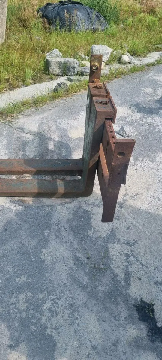 Pallet forks - Image 1