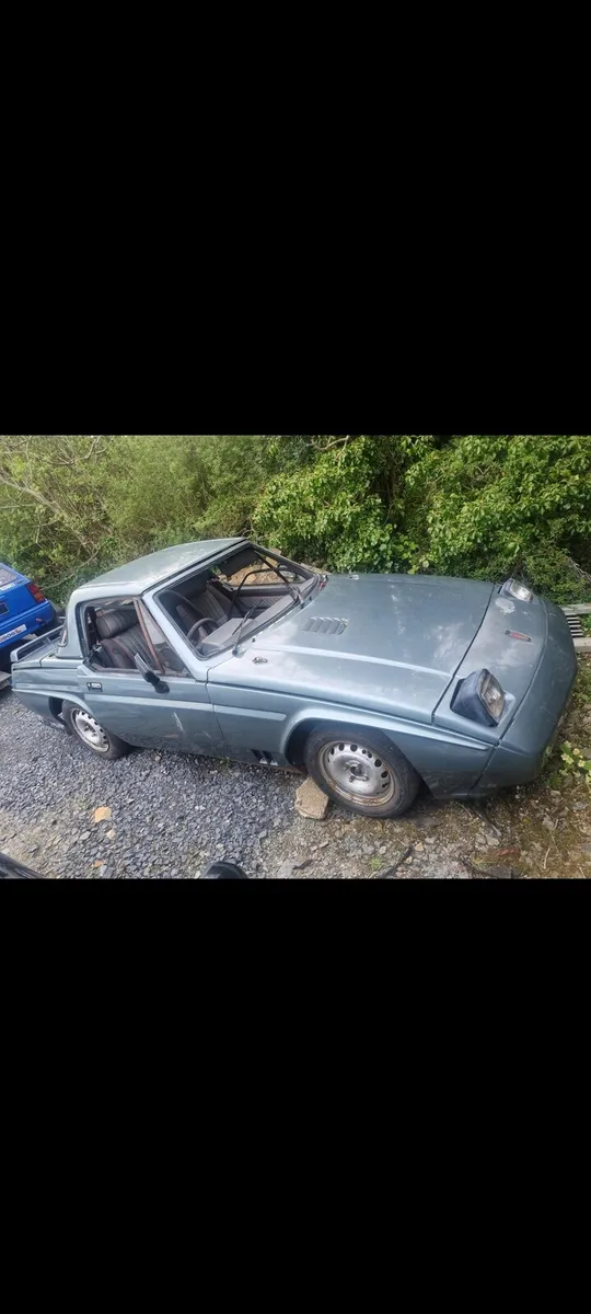 Reliant scimitar ss1 Breaking - Image 3