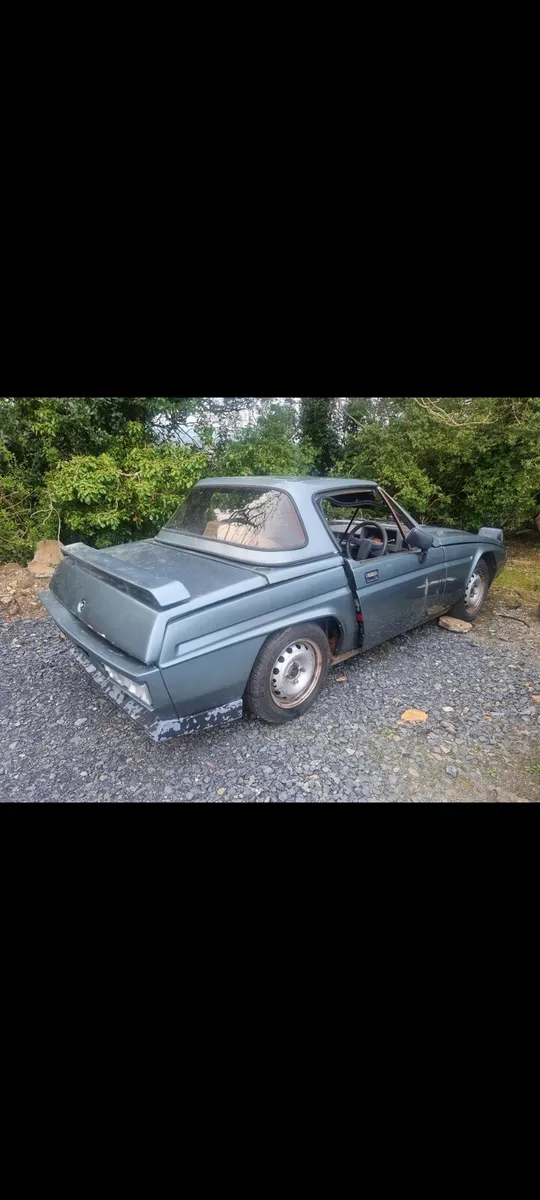 Reliant scimitar ss1 Breaking - Image 4
