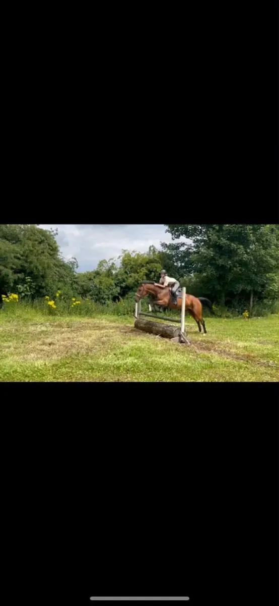 Allrounder - Image 1