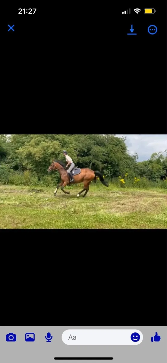 Allrounder - Image 2