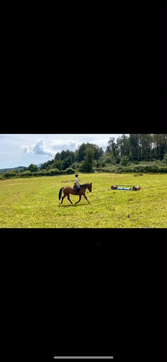 Allrounder - Image 3