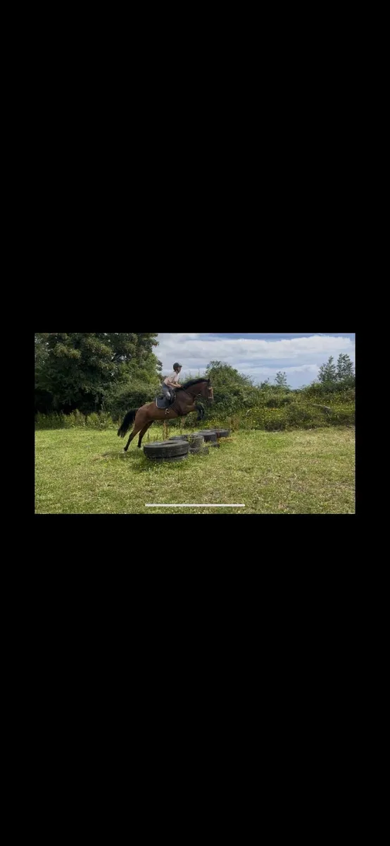 Allrounder - Image 4