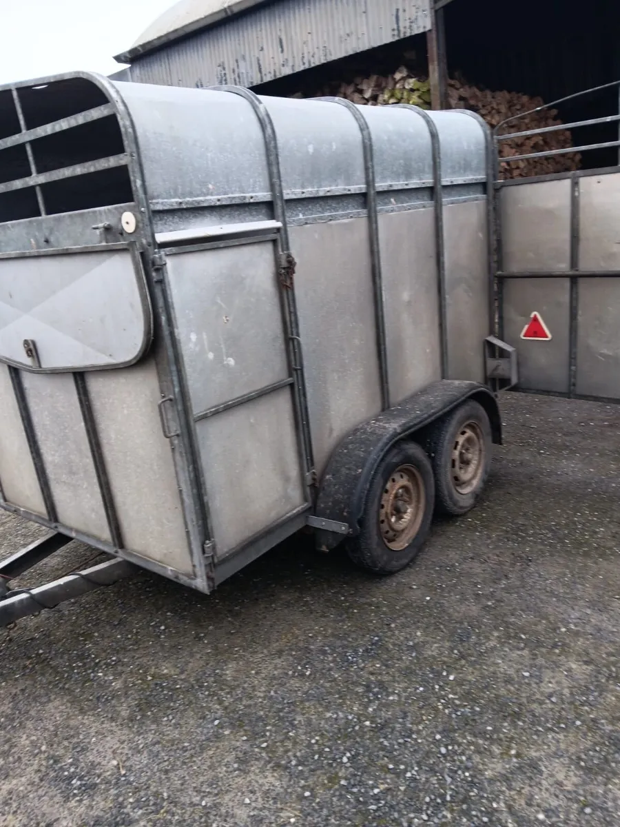 8X5 Cattle Trailer - Image 3