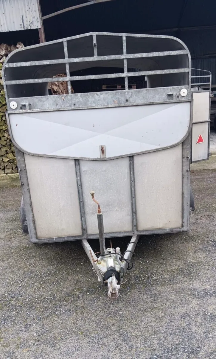 8X5 Cattle Trailer - Image 4