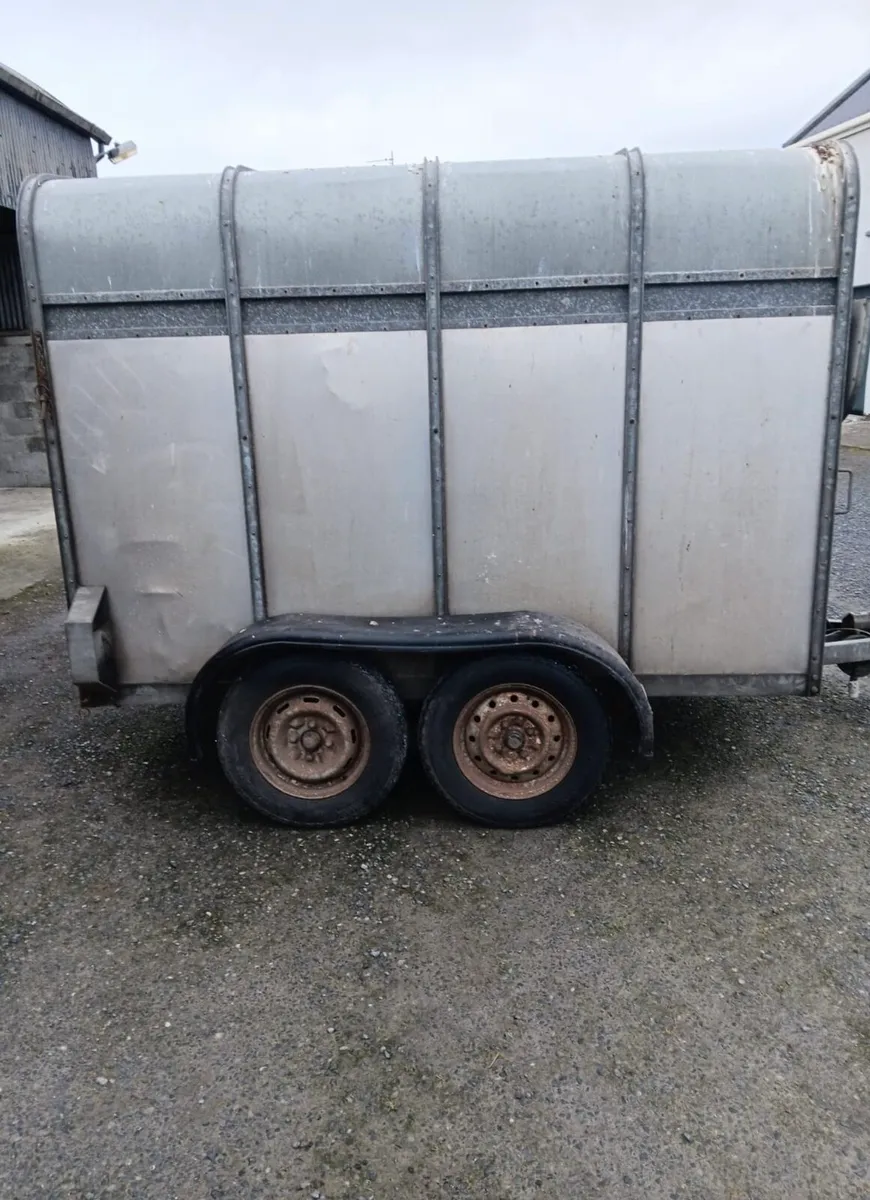 8X5 Cattle Trailer - Image 1