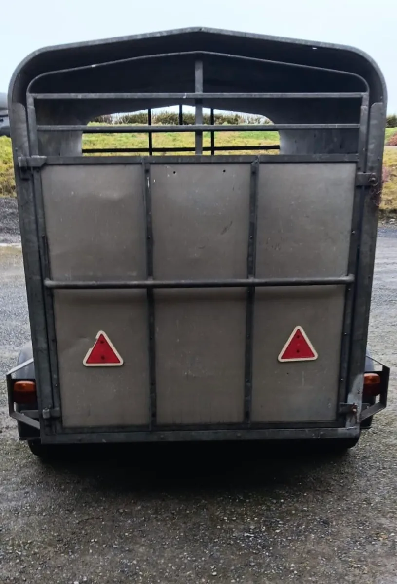 8X5 Cattle Trailer - Image 2