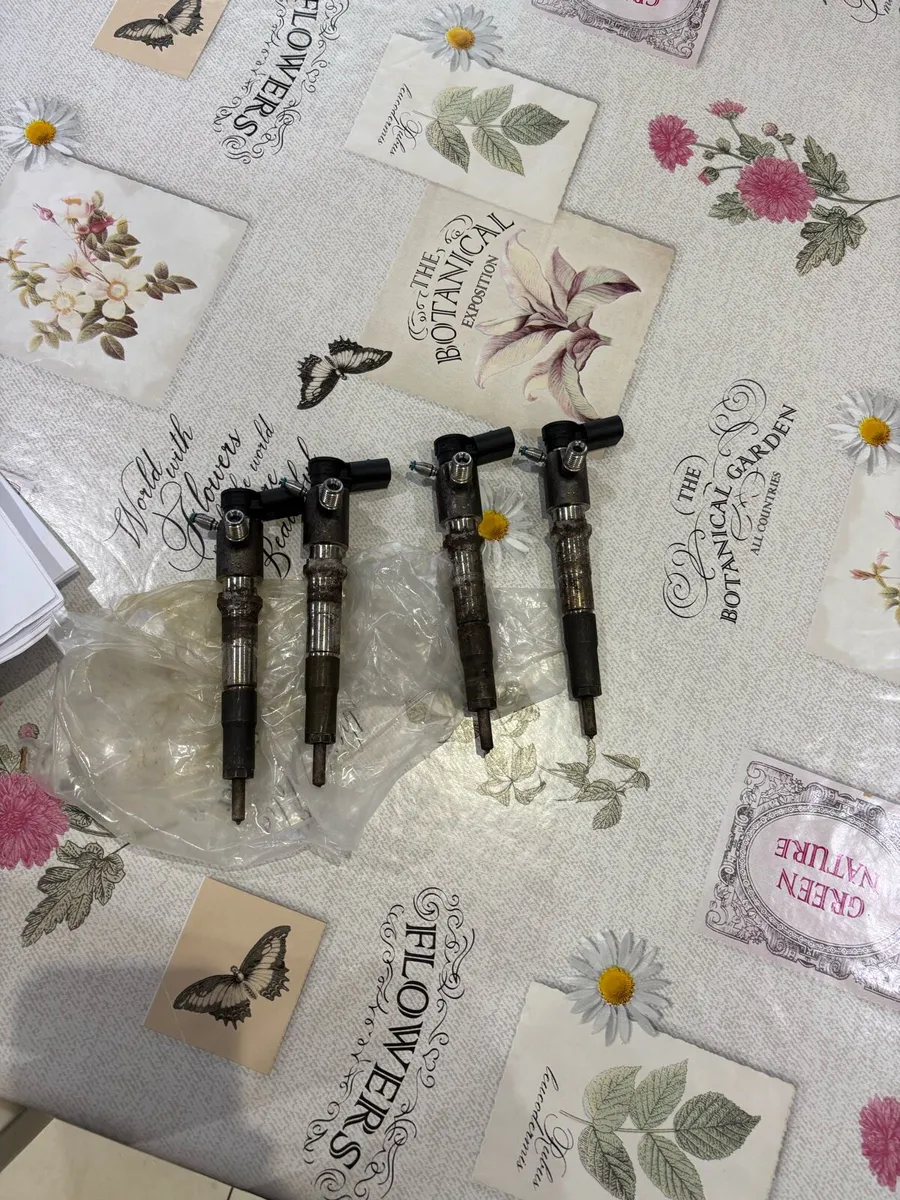 2019 Transit injectors - Image 1