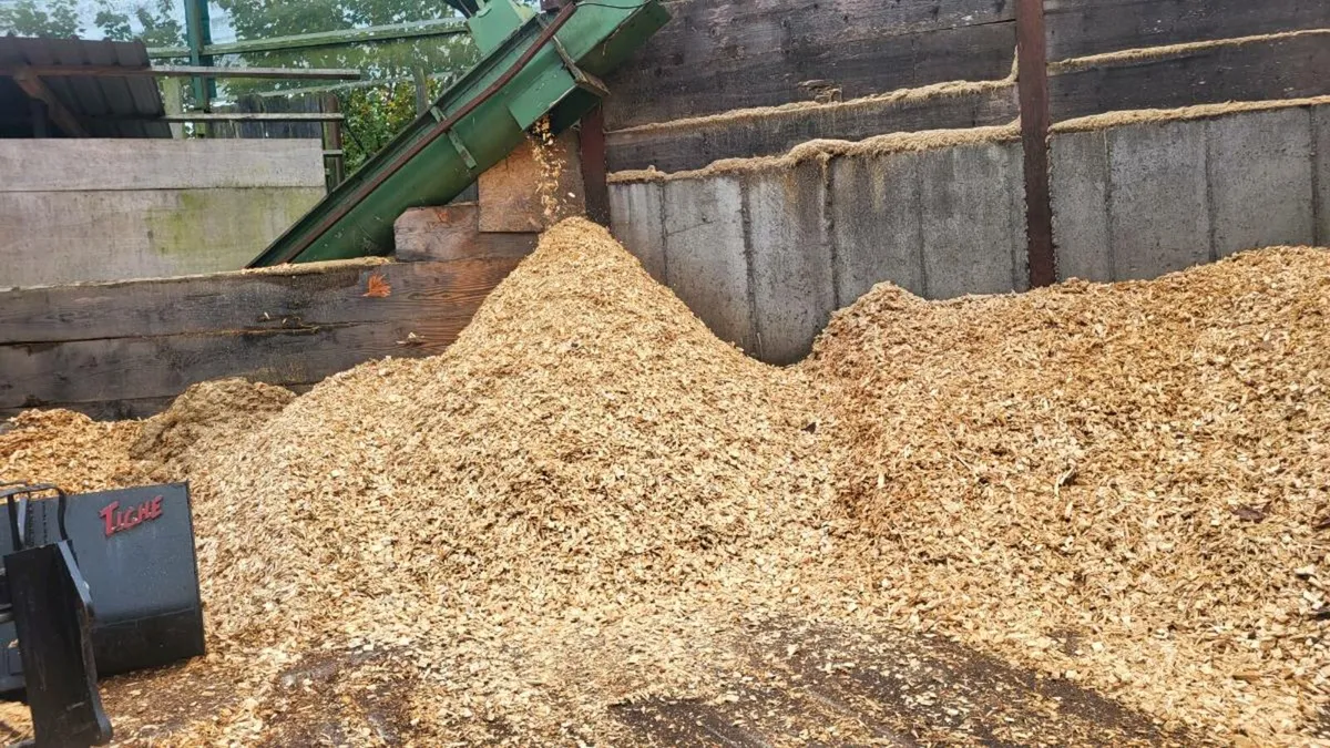 Woodchip - Image 2
