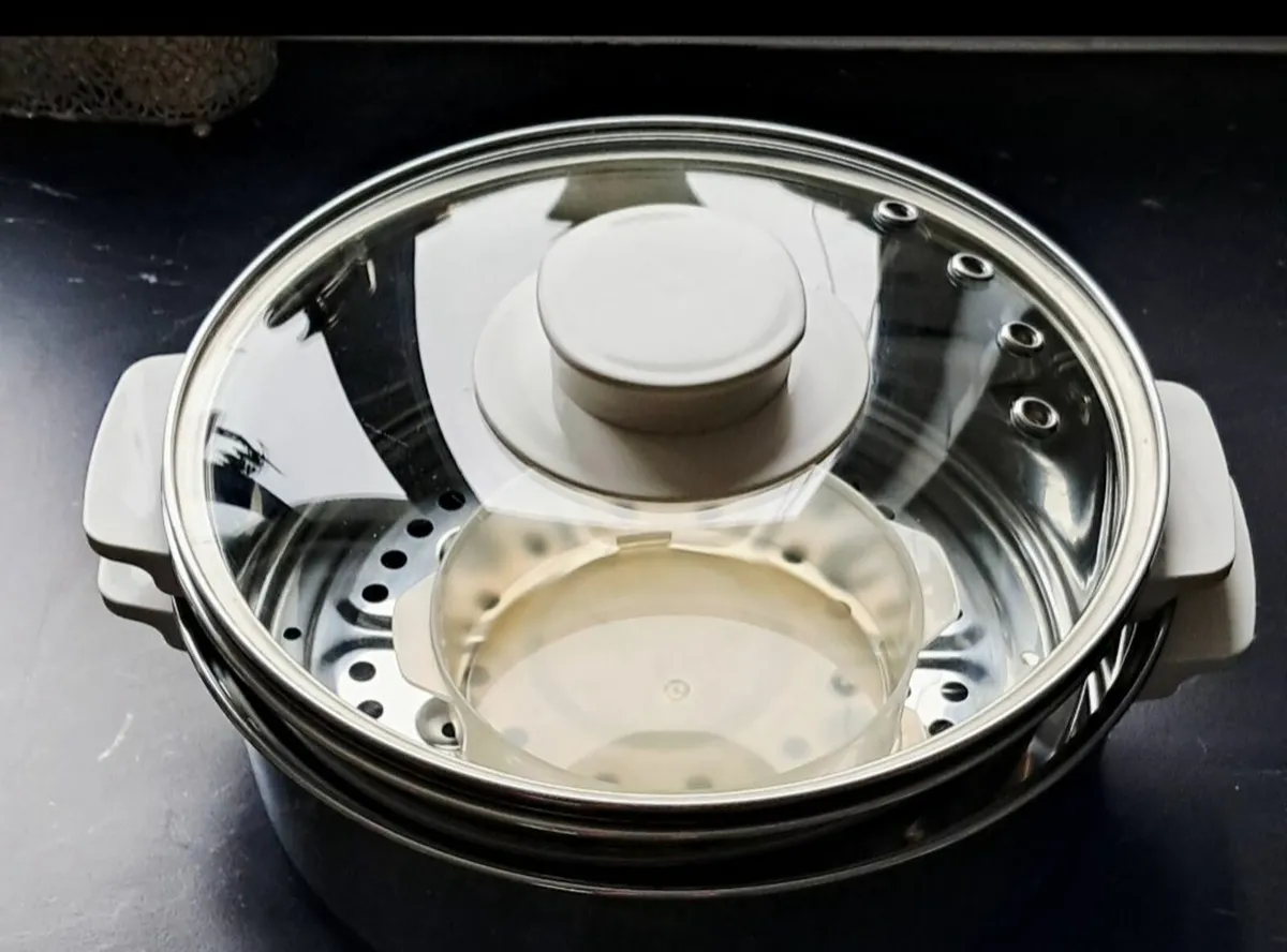 Tefal Electric Steamer - Image 4