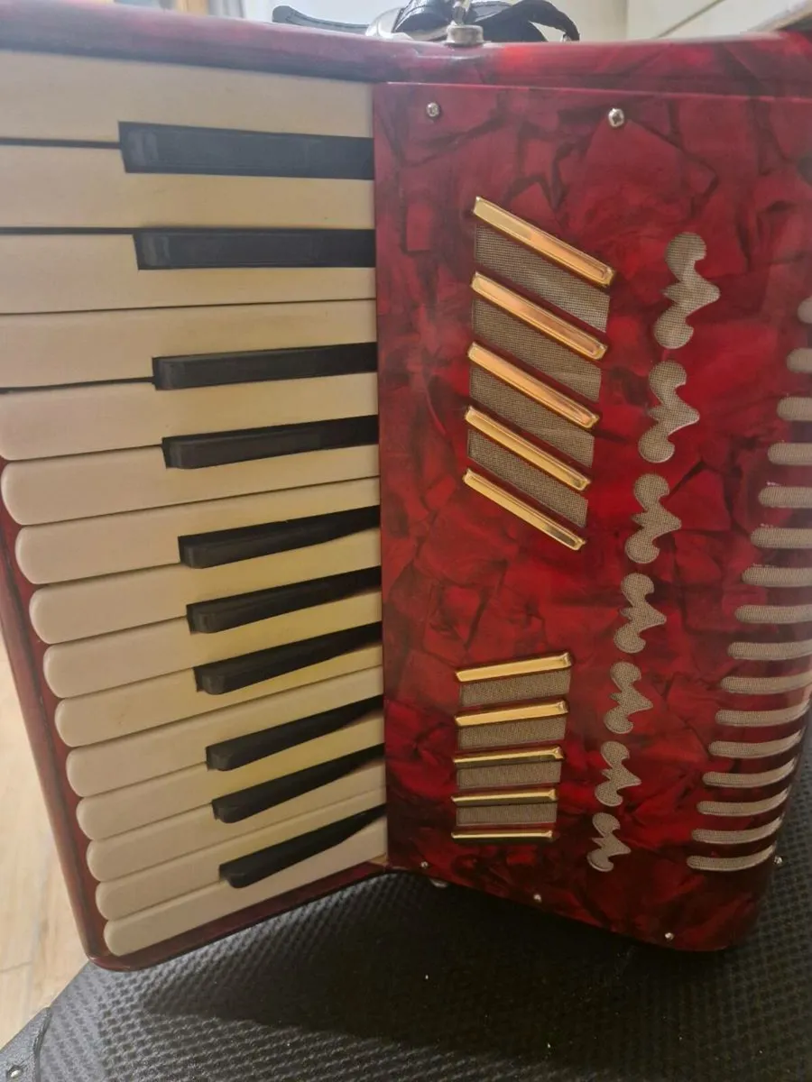 Parrot Piano accordion - Image 3