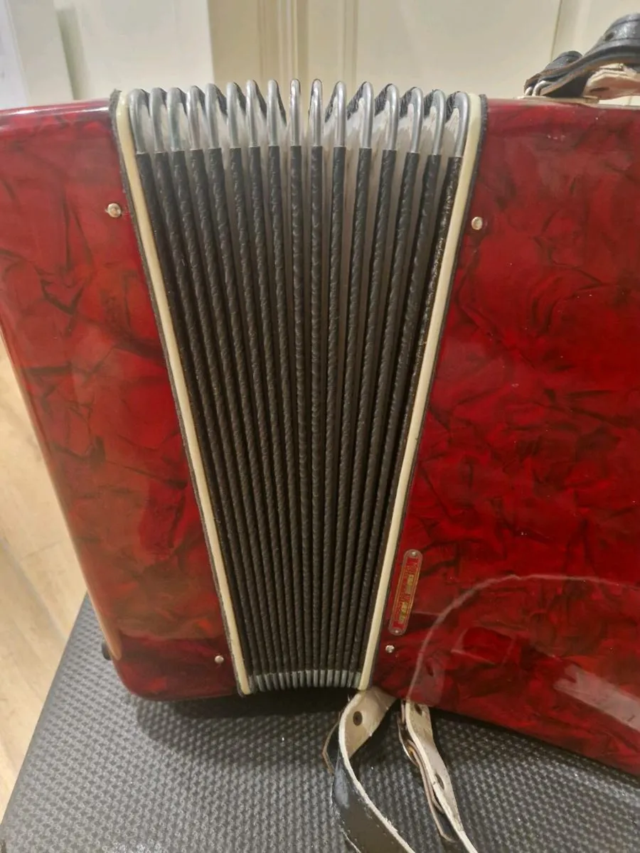 Parrot Piano accordion - Image 4