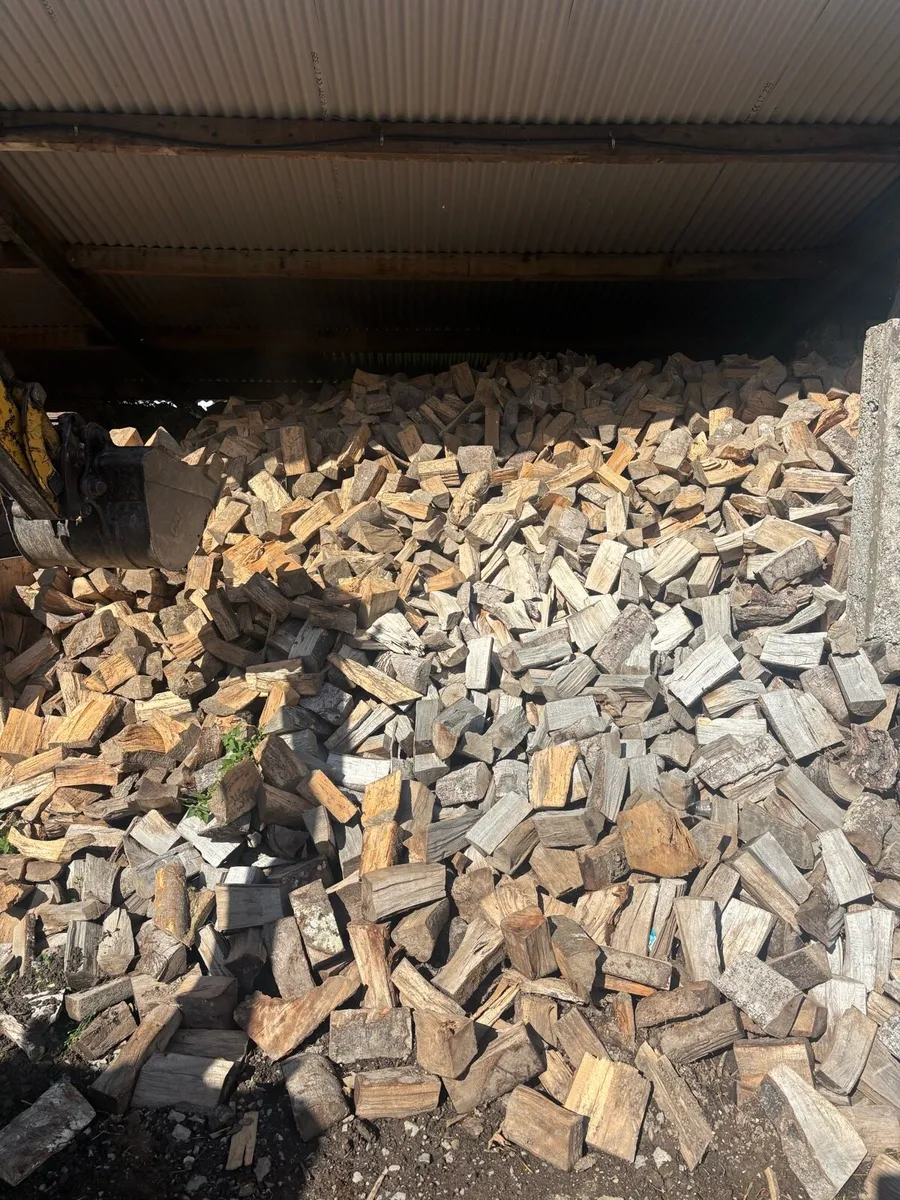 Hardwood fire timber - Image 1