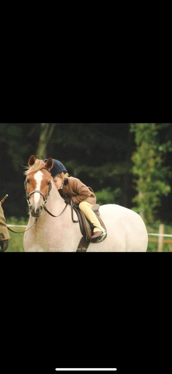 Allrounder - Image 4